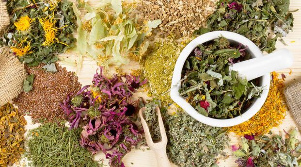 Medicinal plants that help fight diabetes